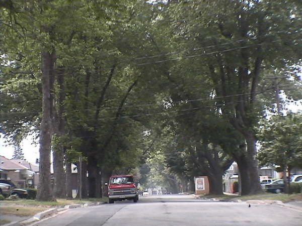 ACI1p 056